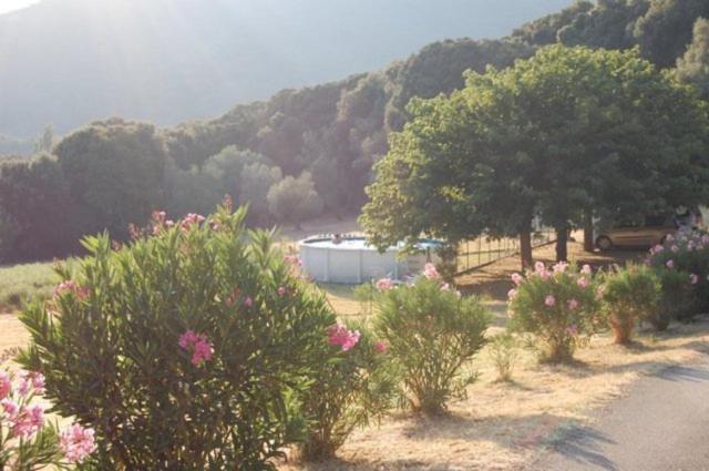 Gites Chalets De Grosseto-Prugna Exterior photo