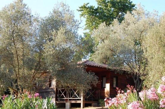 Gites Chalets De Grosseto-Prugna Exterior photo